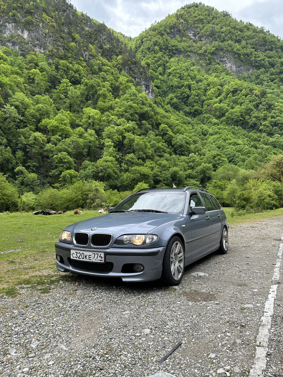 Продолжение истории.Очень много букв. — BMW 3 series Touring (E46), 2 л,  2004 года | поломка | DRIVE2