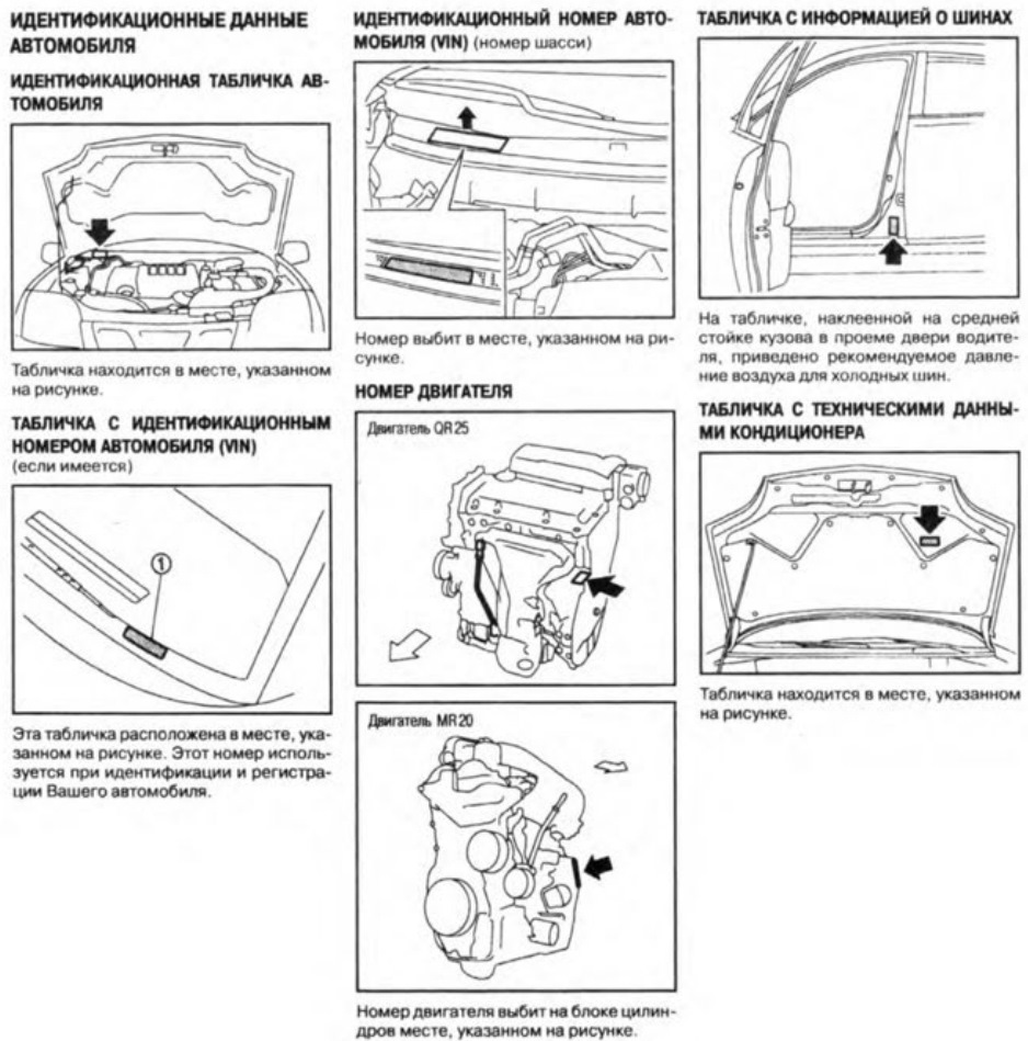 Расположение наименование краски на Nissan X-Trail T31 — Nissan X-Trail II  (t31), 2 л, 2010 года | рейтинг и продвижение | DRIVE2