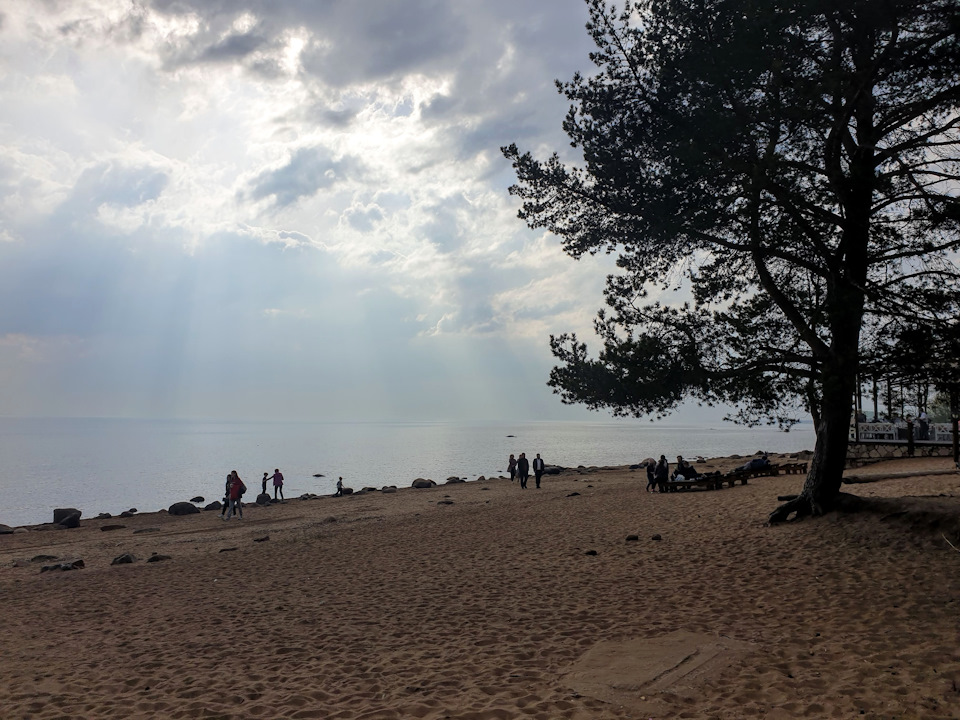 Фото в бортжурнале Audi A4 (B9)