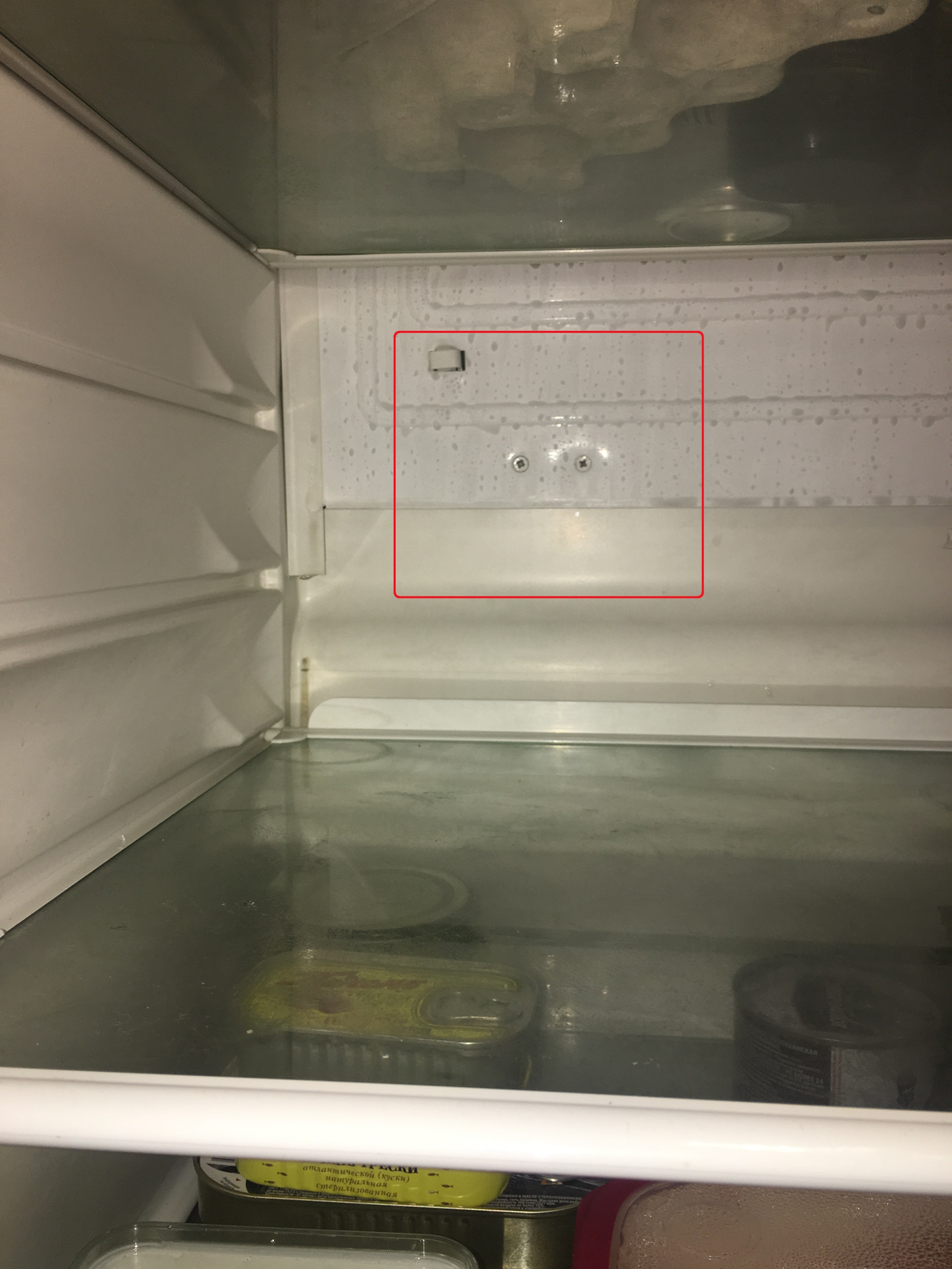 самая холодная полка в двухкамерном холодильнике бош