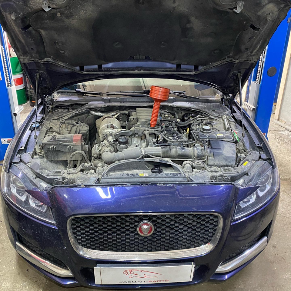 Jaguar XF X260 замена фильтров — JAGUAR PARTS на DRIVE2