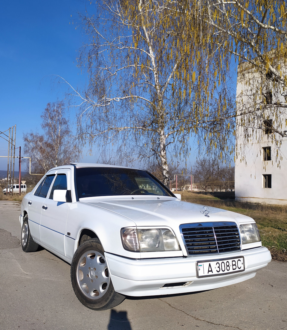 Весеннее утро — Mercedes-Benz E-class (W124), 2 л, 1990 года | наблюдение |  DRIVE2