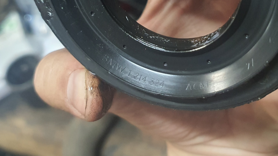 Фото в бортжурнале BMW X5 (E53)