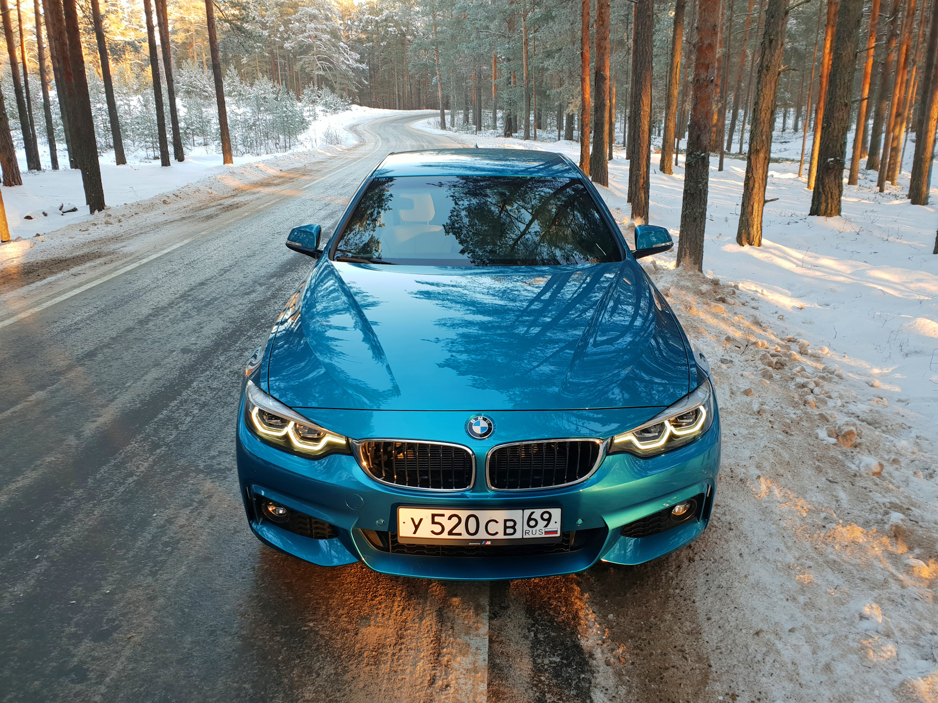 Snapper Rocks Blue BMW