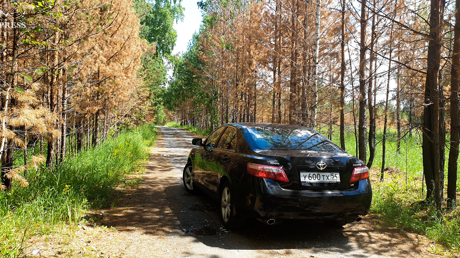 Toyota Camry (XV40) 3.5 бензиновый 2006 | V6 МАШИНА ВРЕМЕНИ на DRIVE2