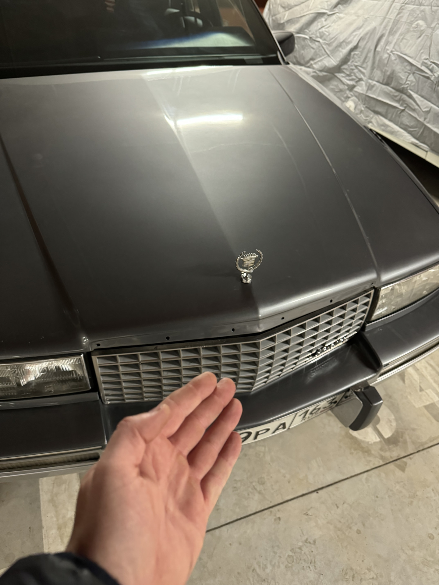 Сабля на капот — Cadillac Seville (3G), 4,5 л, 1988 года | аксессуары ...