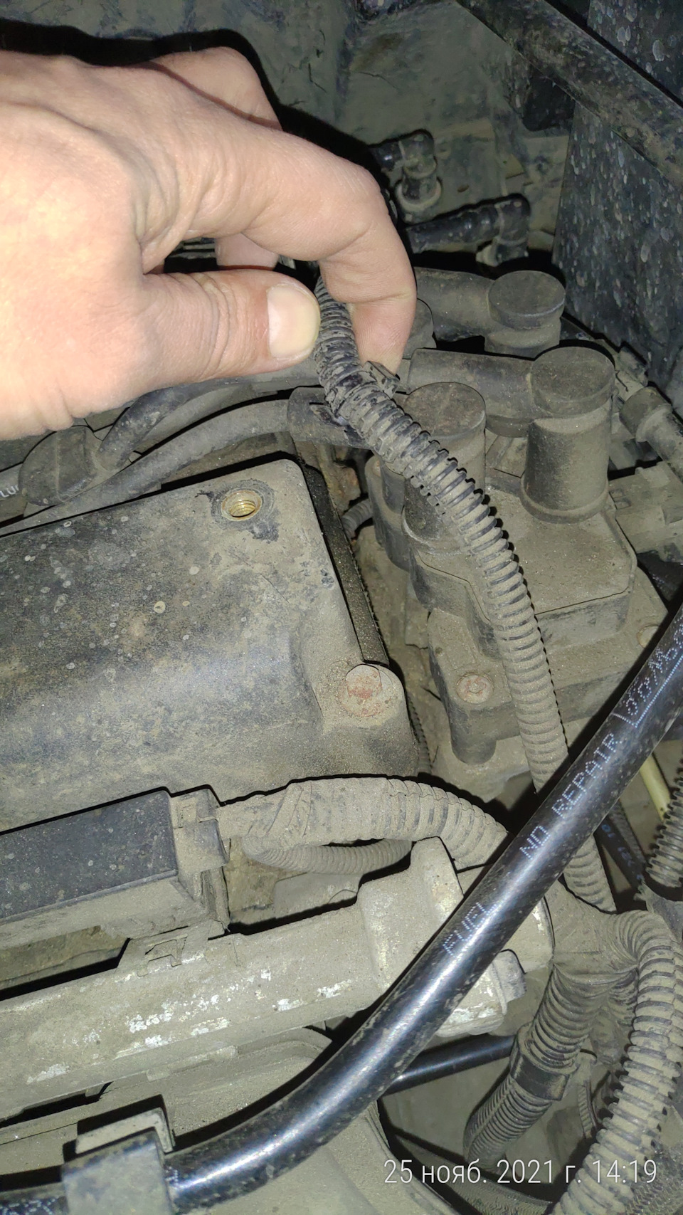 И такой же с другой стороны (я его сломал в итоге, а остатки выкрутил) — Ford Focus Sedan II