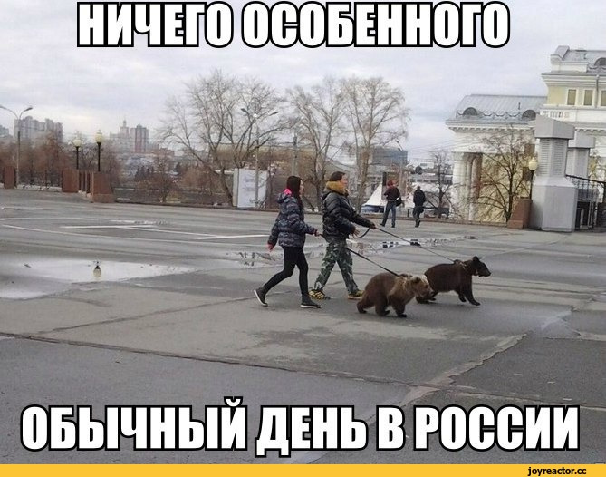 Мемы про россию 2025