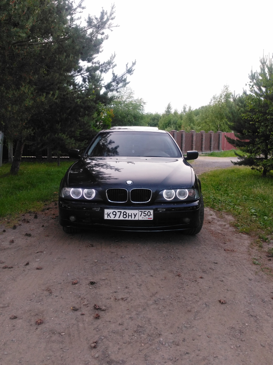 Фото в бортжурнале BMW 5 series (E39)