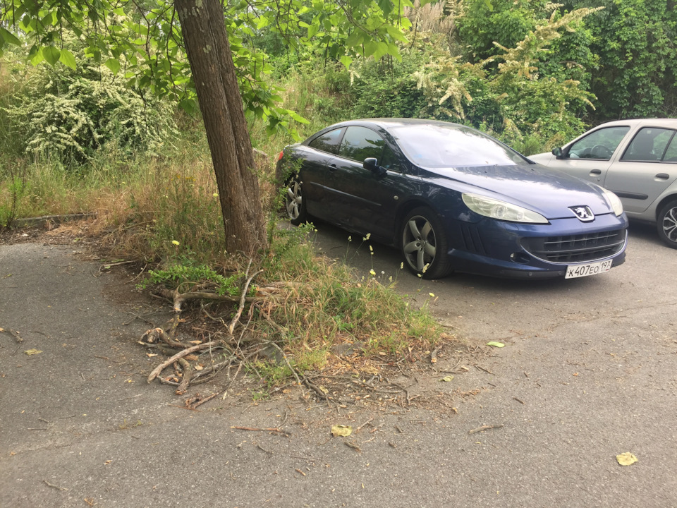 Лампочка заднего стопа — Peugeot 407 Coupe, 2,2 л., 2006 года | своими ...