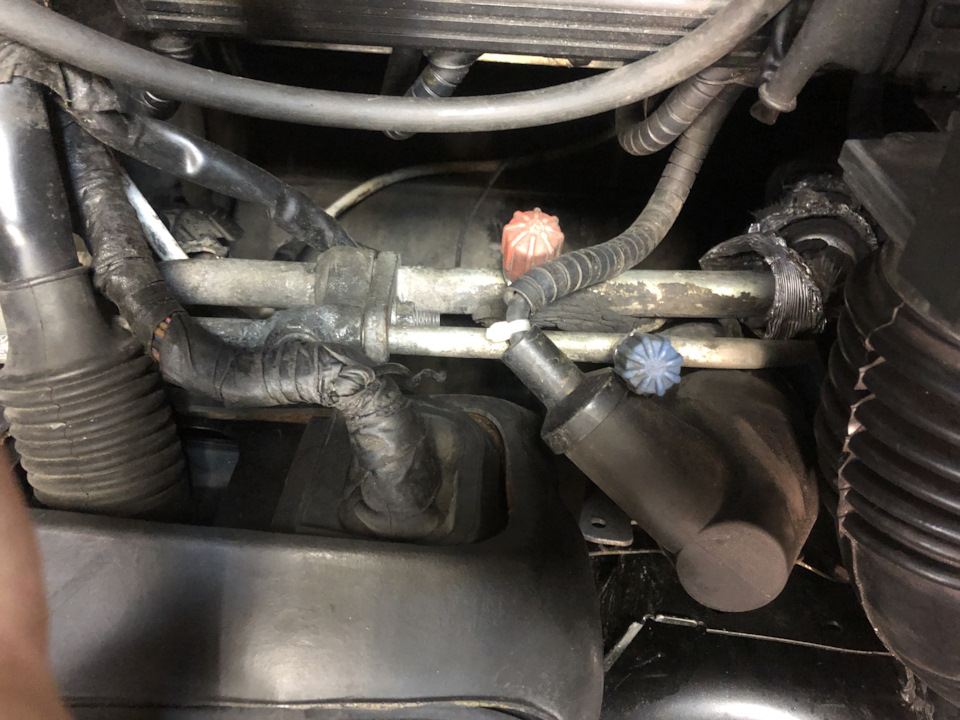EAAAAgB_s-A-960.jpg