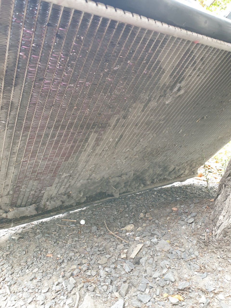 Закипел антифриз в жару — Toyota Avalon, 3 л, 1998 года | поломка | DRIVE2