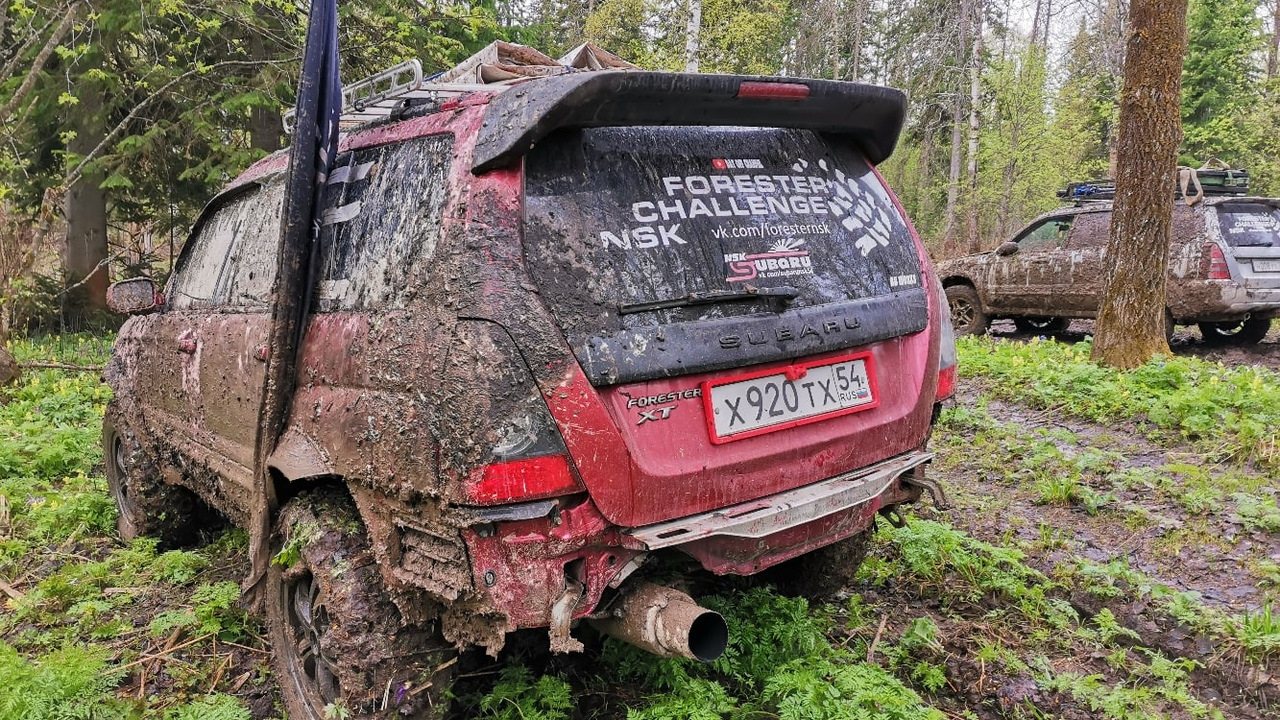 Subaru Forester (SG) 2.0 бензиновый 2002 | Off-road style на DRIVE2