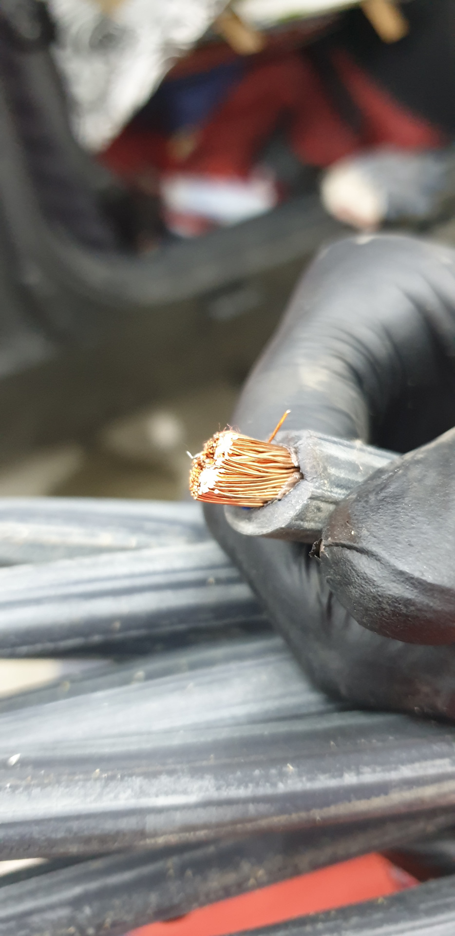 Проводка для музыки — Nissan March (K12), 1,5 л, 2005 года | своими ...