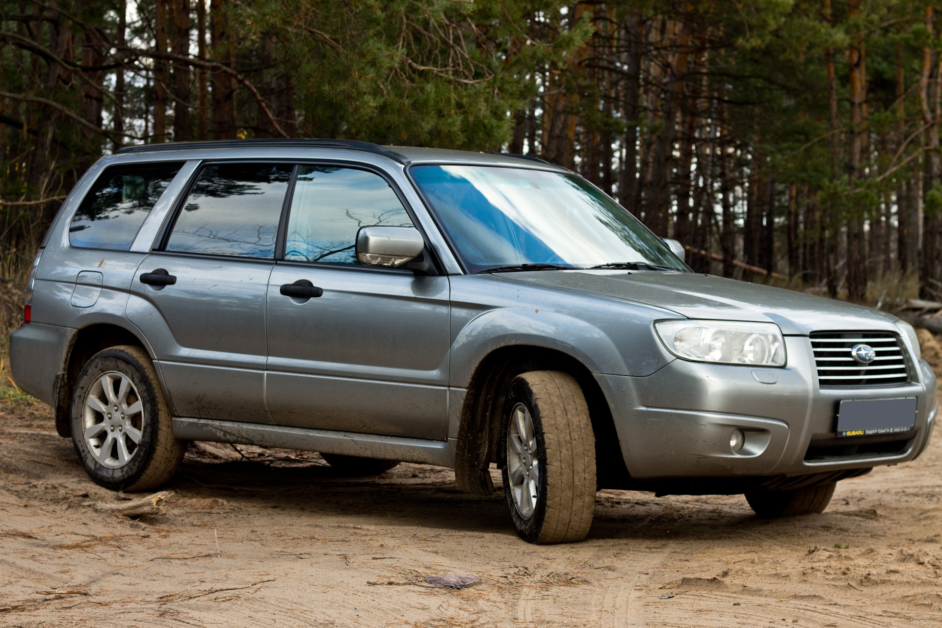 Forester 2