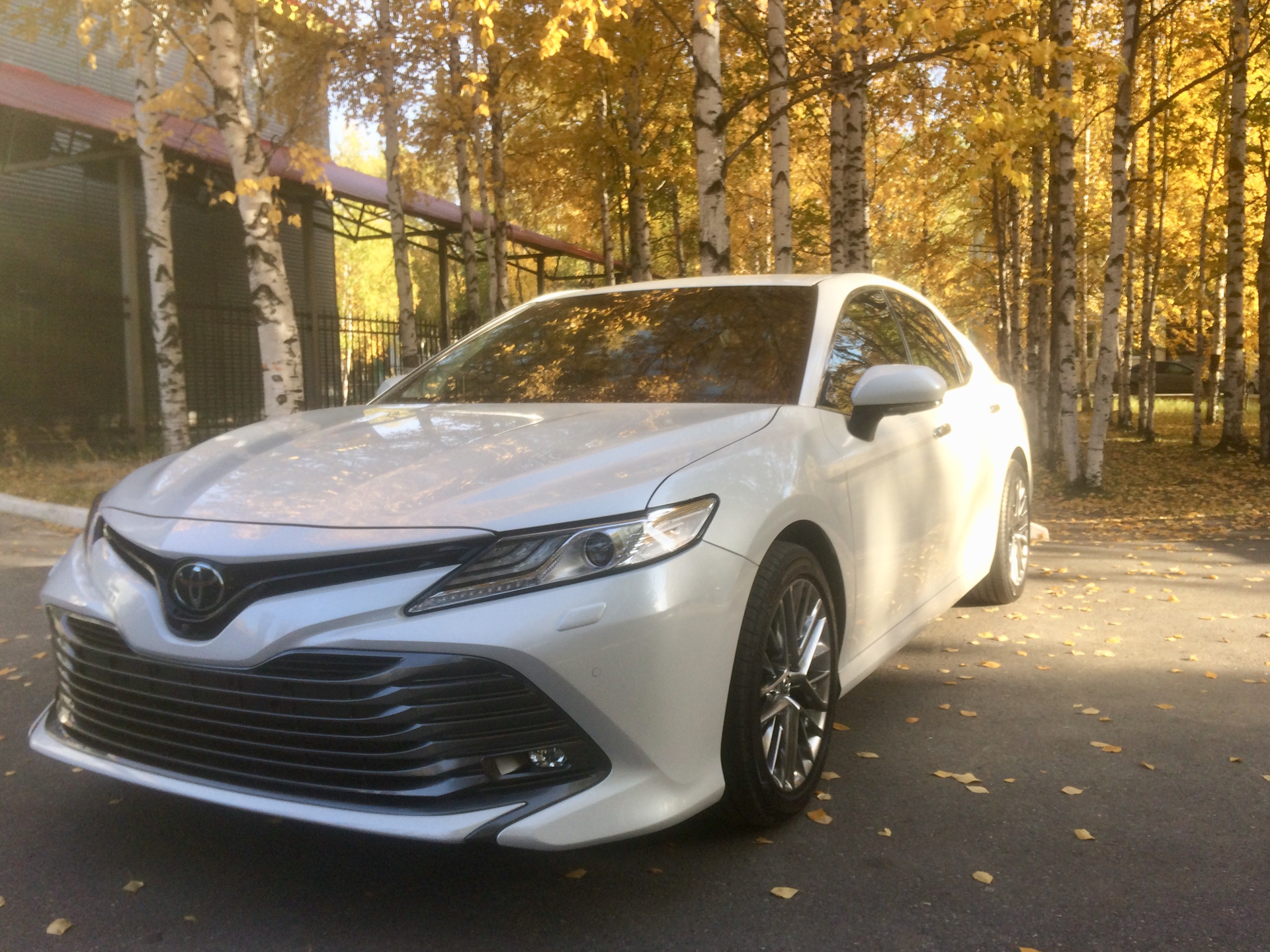 Toyota camry безопасность. Камри 70 Executive Safety. Executive Safety Камри 3.5. Камри 3.5 2022. Тойота Камри Executive Safety.