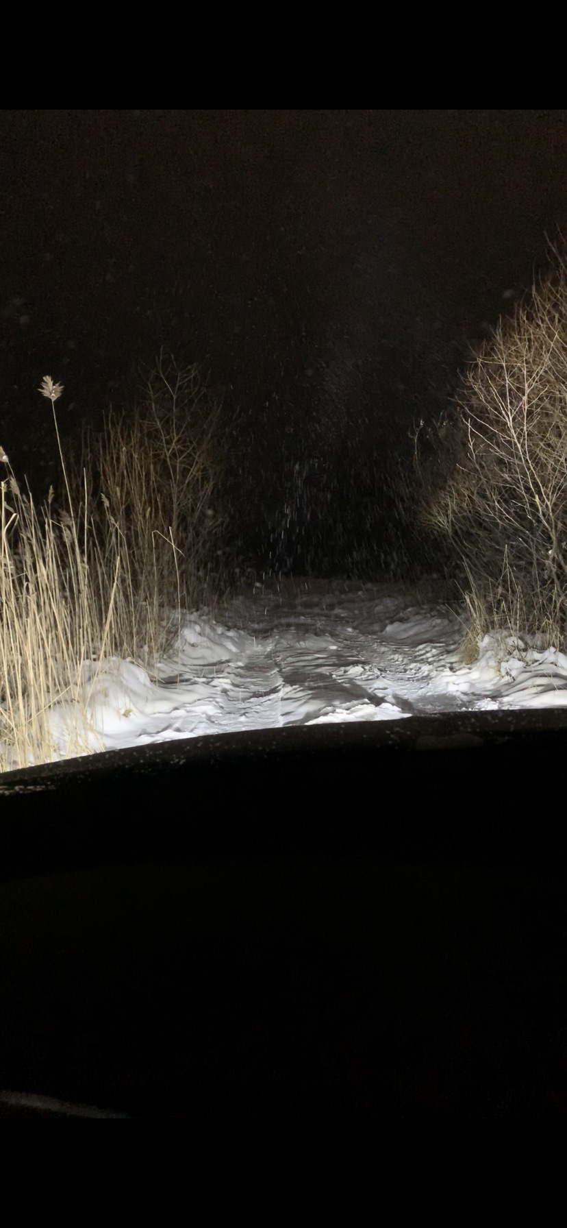 Диоды в дальний свет — Skoda Octavia Scout A5 Mk2, 1,8 л, 2012 года ...