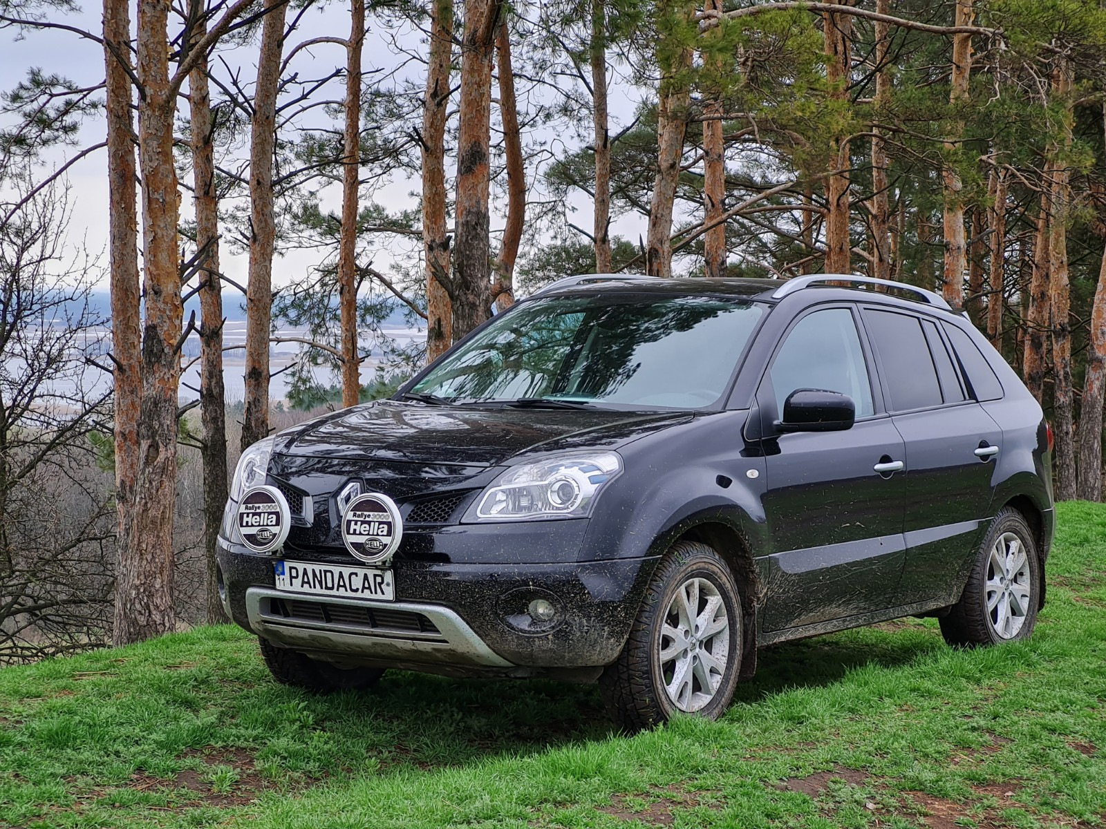 Renault koleos dci