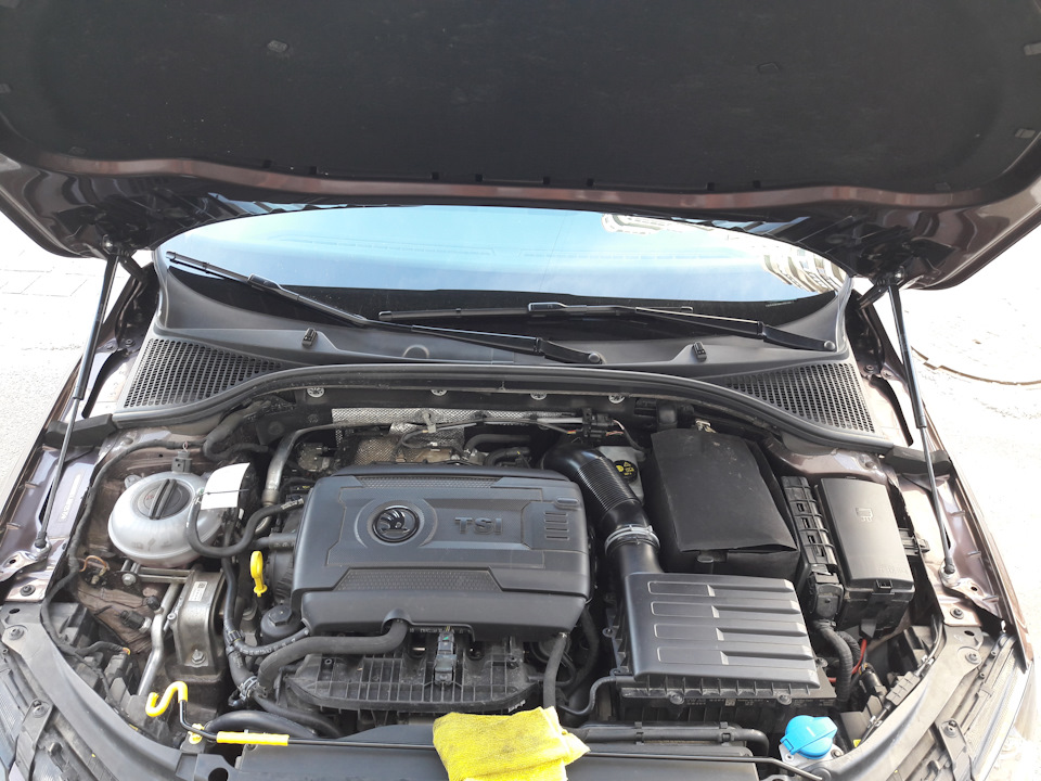 Вода под водительским ковриком. Кто что думает?! — Skoda Octavia A7 Mk3 ...