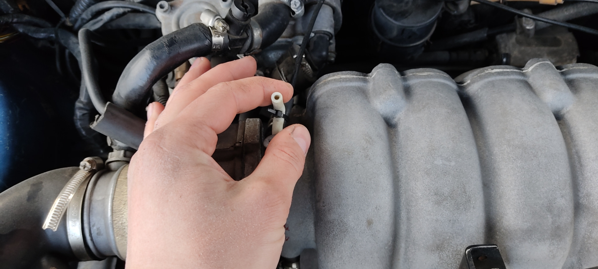 Подсос воздуха впускном коллекторе. — Daewoo Lanos, 1,6 л, 2002 года ...