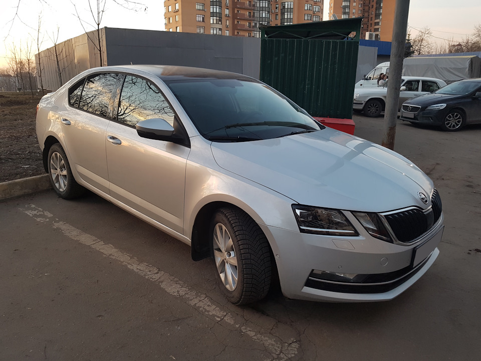 Фото в бортжурнале Skoda Octavia A7 Mk3