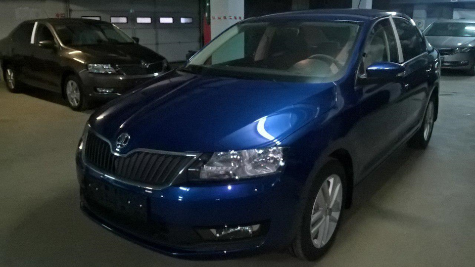 Тонировка Skoda Rapid синий