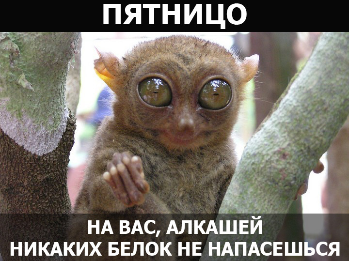 Прикольные картинки про пятницу
