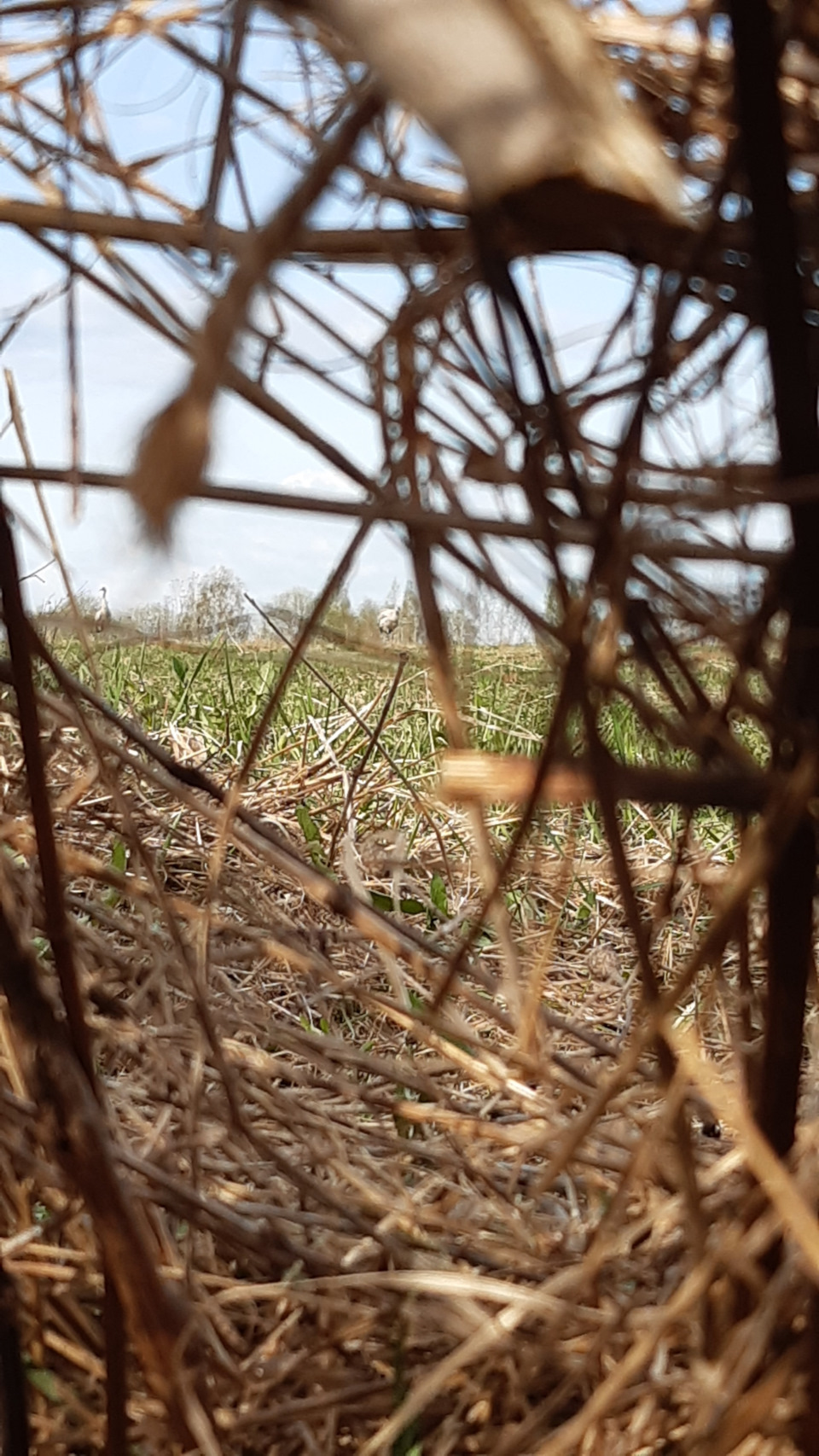 Пробег 200км. Поломки и неисправности. — УАЗ 315195 Hunter, 2,7 л, 2023 ...