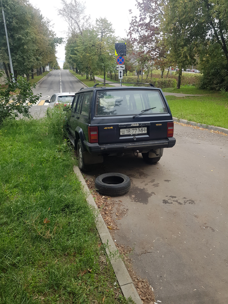 Чирок на дремучих номерах — Сообщество «Брошенные Машины» на DRIVE2