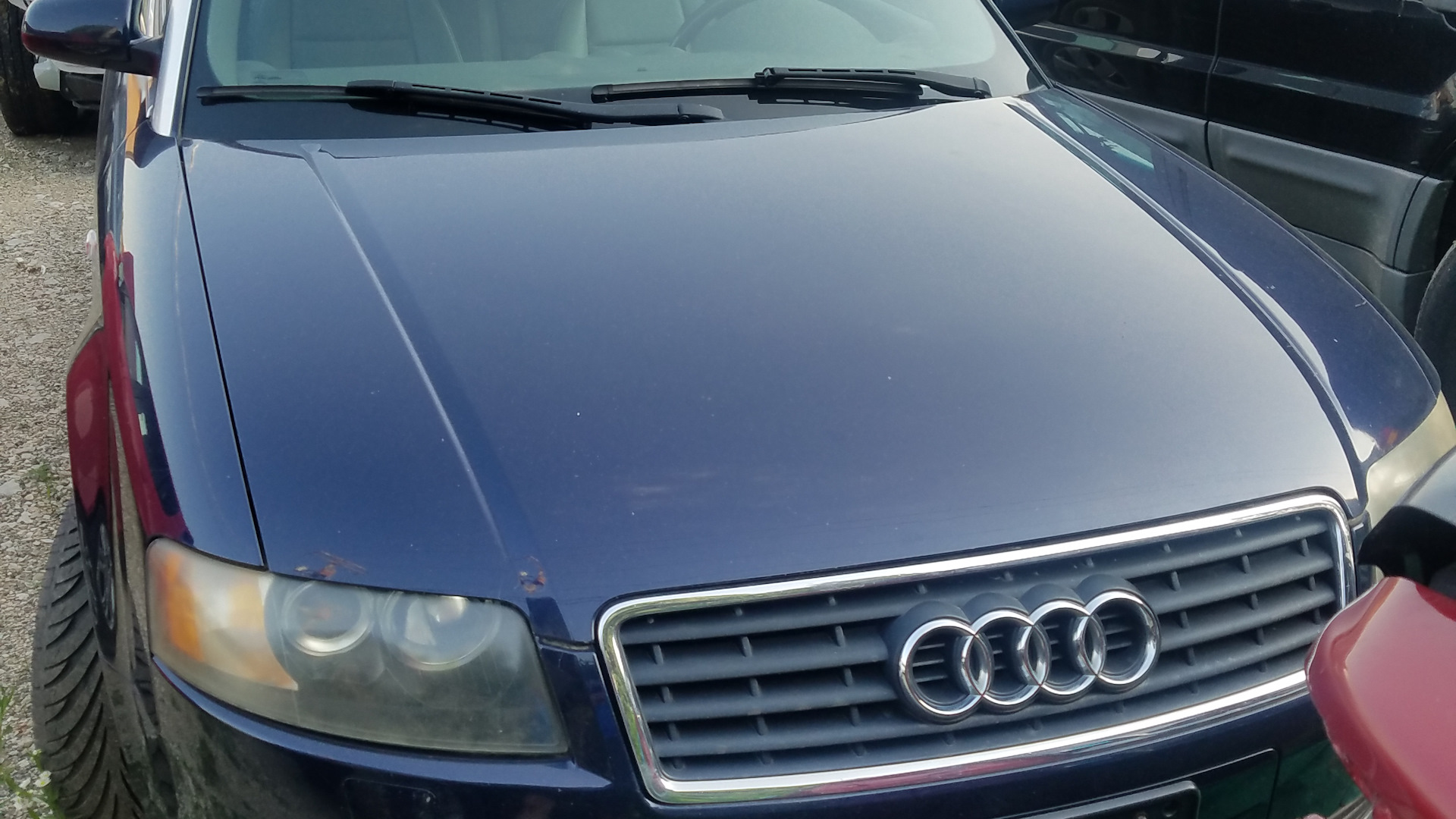 Audi A4 Cabriolet (B6) 1.8 бензиновый 2005 | Синий инвалид на DRIVE2