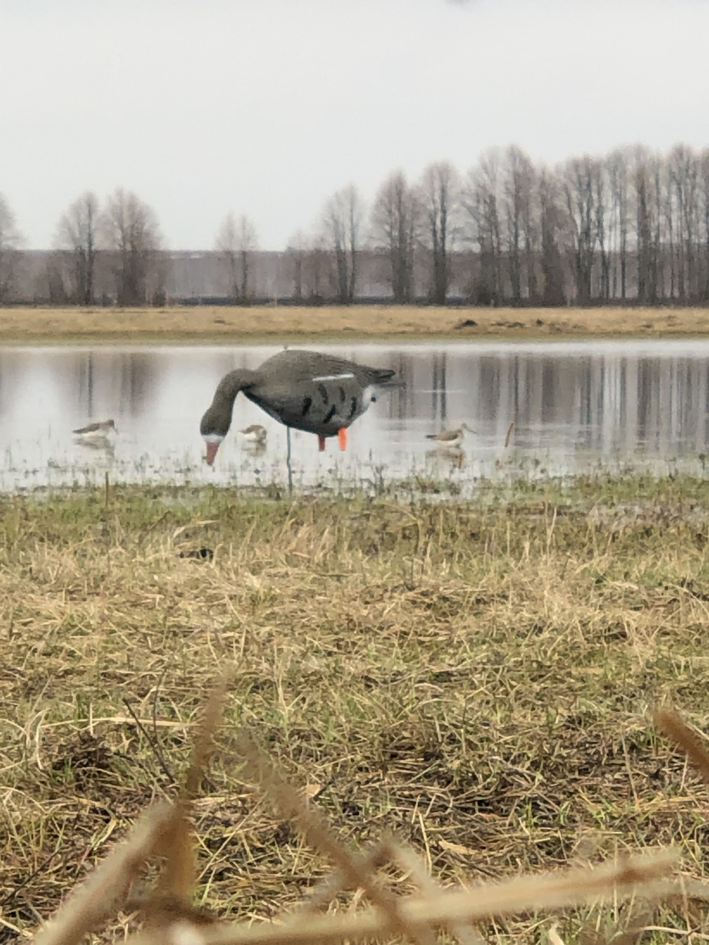 Установка сухого фена Планар 2Д-12 — Mitsubishi Pajero Sport (2G), 2,5 ...