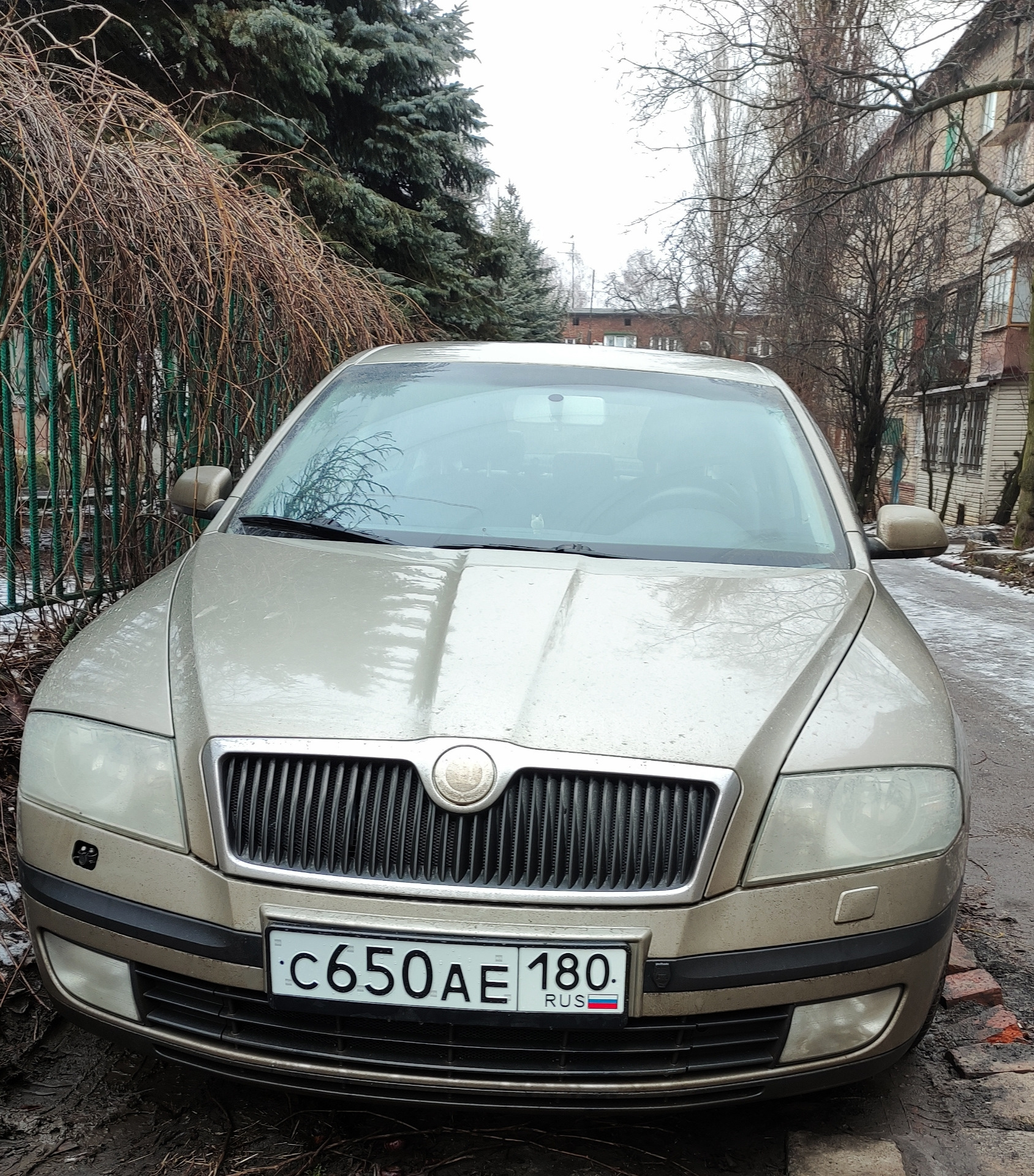 Новые номера. — Skoda Octavia A5 Mk2, 2 л, 2005 года | просто так | DRIVE2