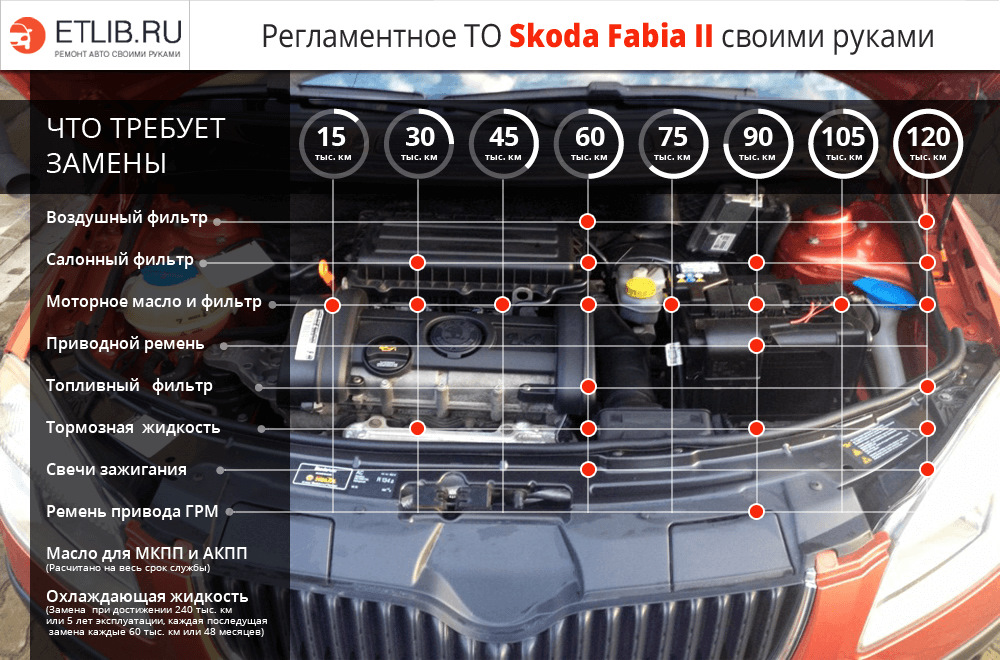 То шкода. Шкода Фабия 2 регламент то. Регламент то Шкода Фабия 1.6. Регламент то Шкода Фабия 1.4. Шкода Фабия техобслуживание регламент
