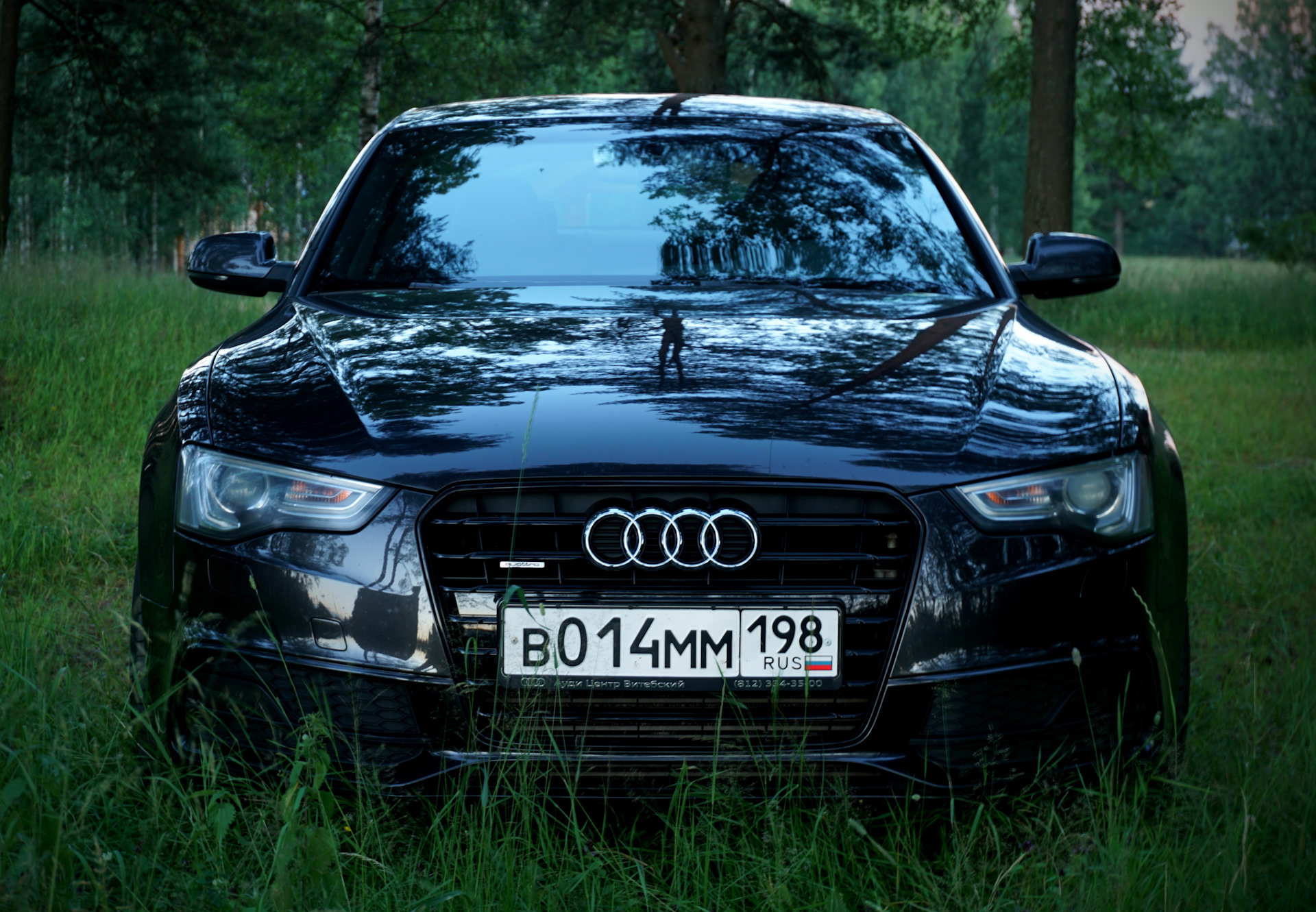 Audi a5 Гжель