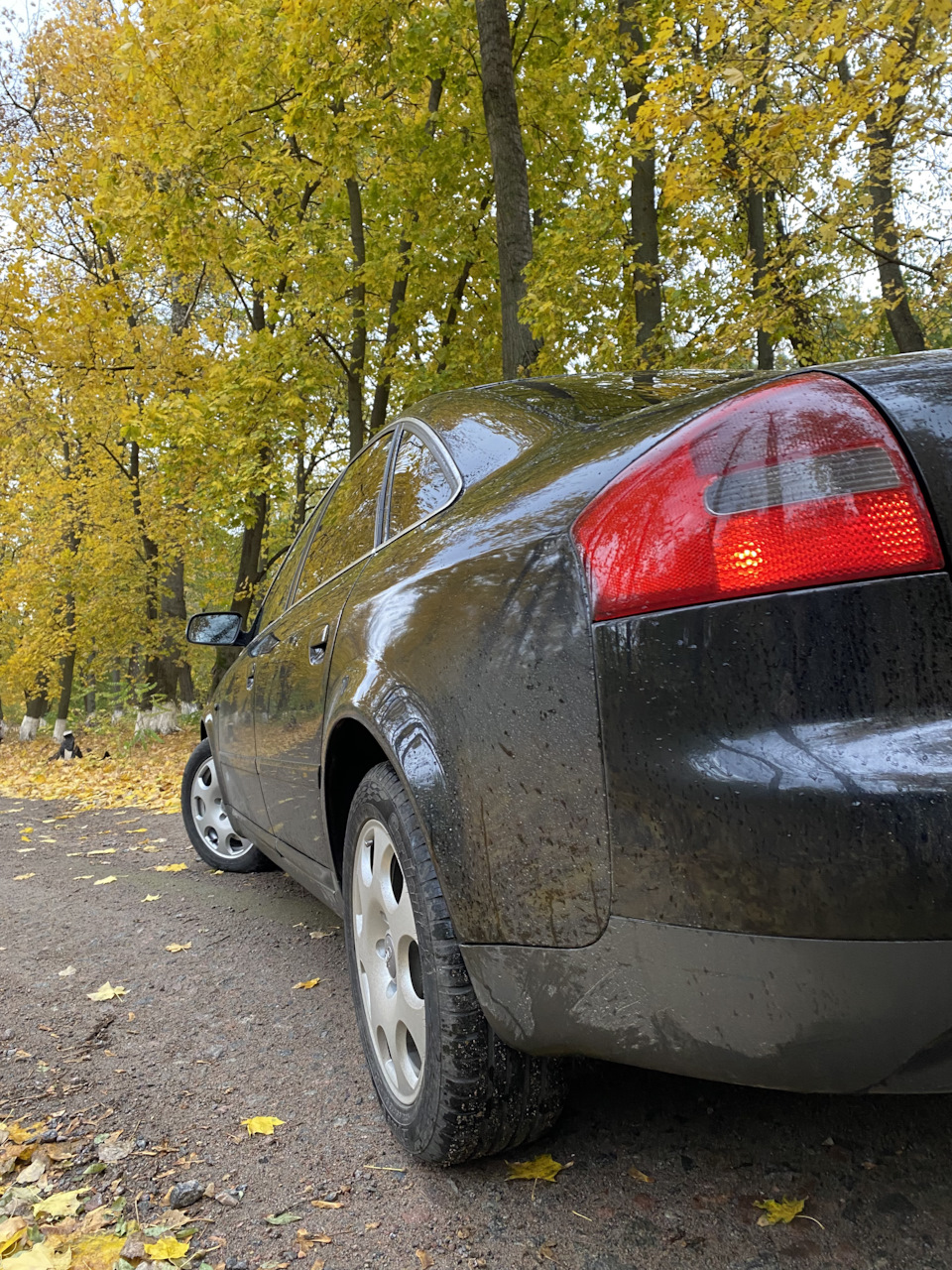 ПТФ — Audi A6 (C5), 3 л, 2003 года | аксессуары | DRIVE2