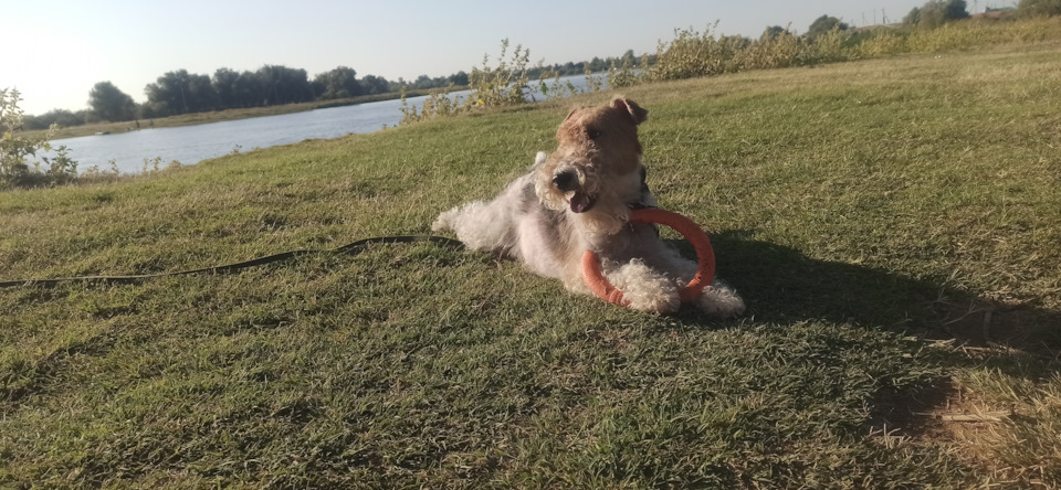 Фото в бортжурнале Mitsubishi Pajero (4G)