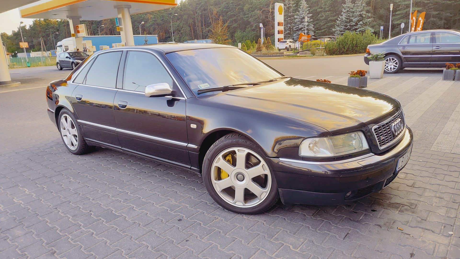 Audi S8 (D2) 4.2 бензиновый 2001 | Рок-н-ролл на DRIVE2