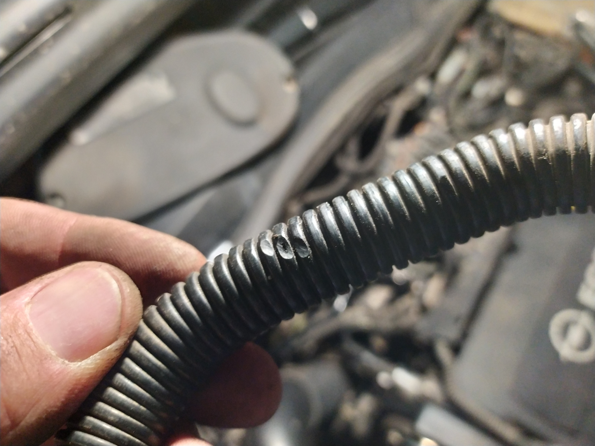 Трубка отвода картерных газов. Вопрос? — Opel Astra H, 1,6 л, 2011 года ...