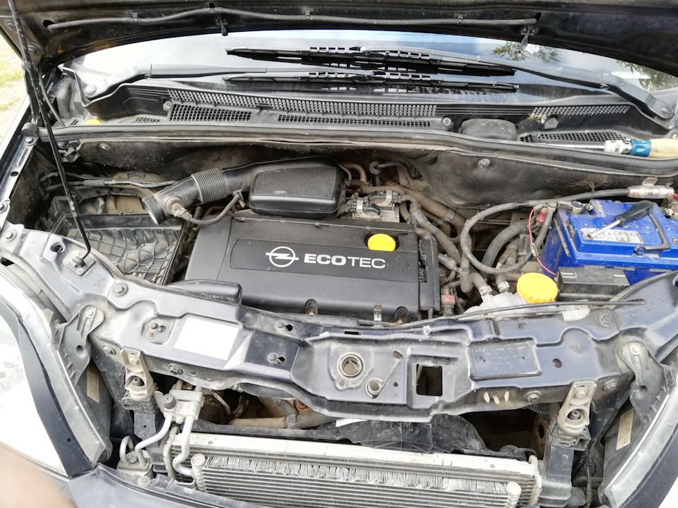 Небольшое ТО — Opel Meriva (A), 1,6 л, 2008 года | запчасти | DRIVE2