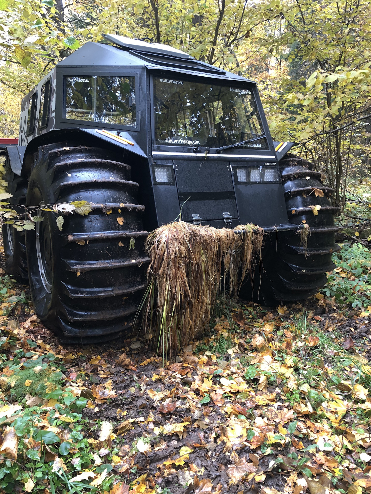 Лягушка Машина