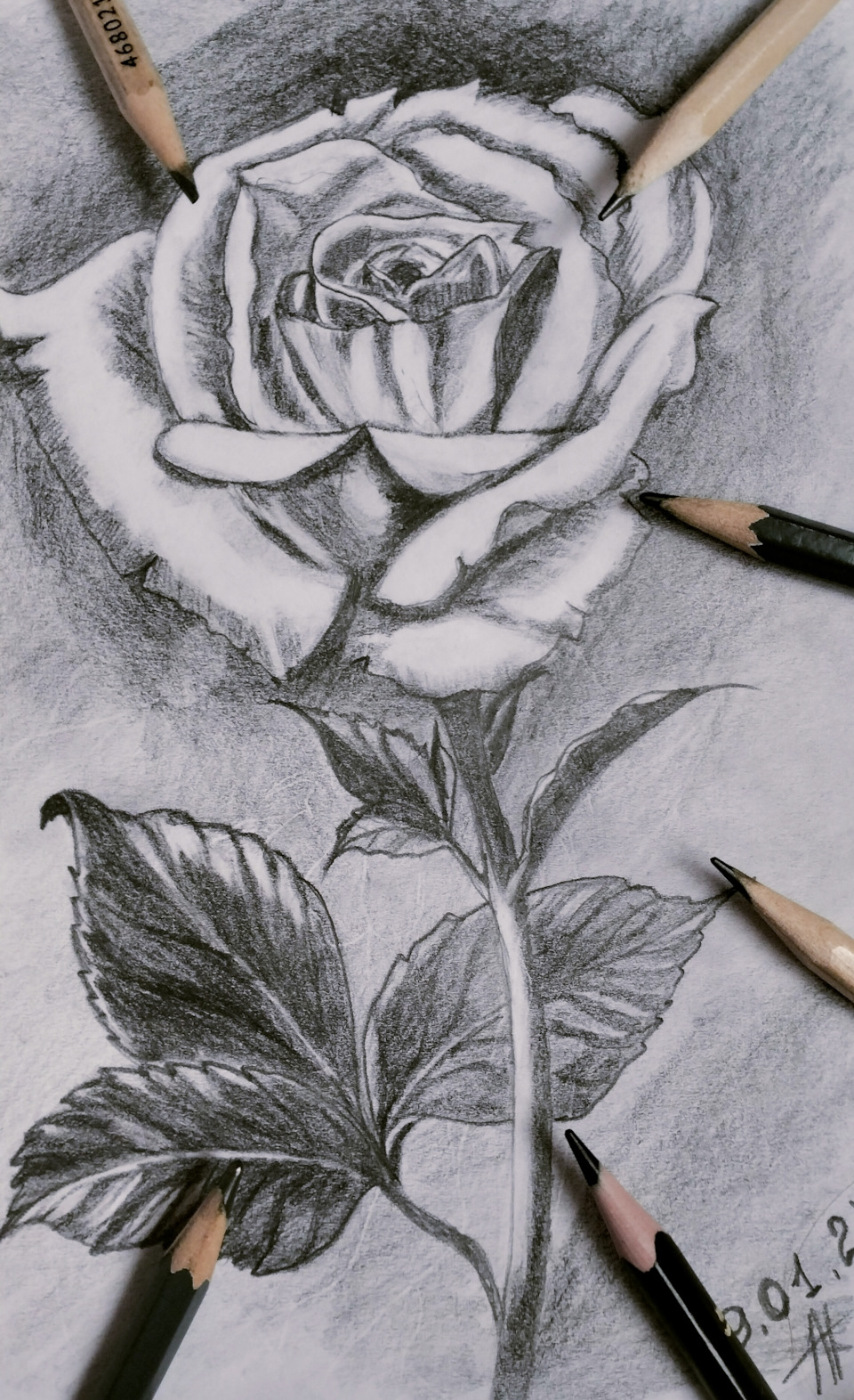 Белые розы, белые розы, беззащитны шипы… — DRIVE2