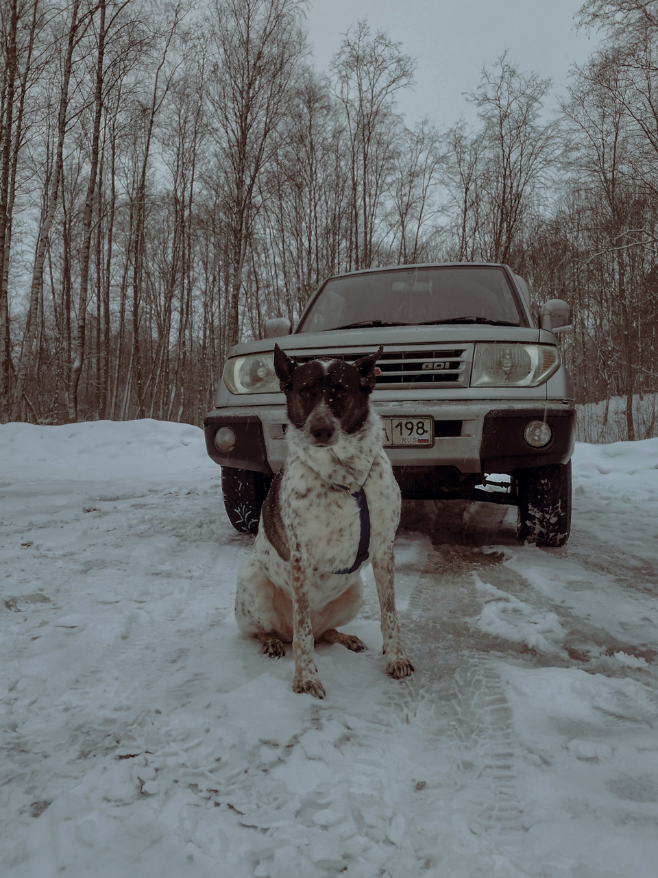 Зима, собаки и машина — Mitsubishi Pajero iO, 1,8 л, 1998 года | просто так  | DRIVE2