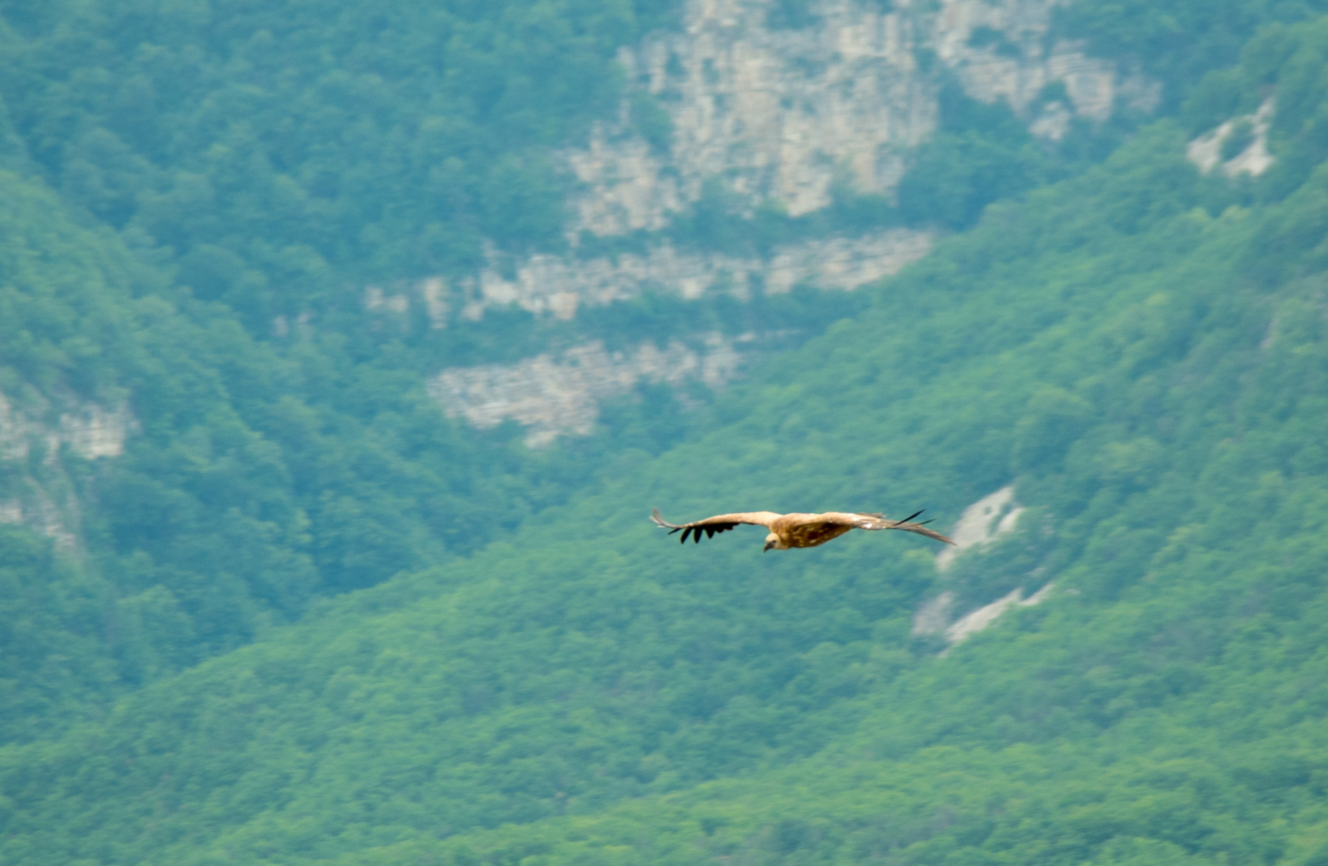 маршруты в горах дагестана. мечеть имени аймани кадыровой. горный тур в дагестане. тропа императора дагестан. туры в дагестан из самары.