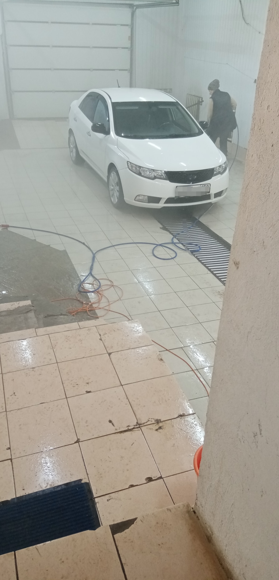Краска — KIA Cerato (2G), 1,6 л, 2012 года | просто так | DRIVE2