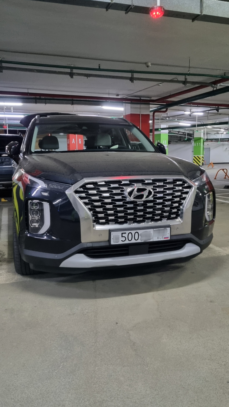 Постановка на учёт — Hyundai Palisade, 2,2 л, 2019 года | покупка машины |  DRIVE2