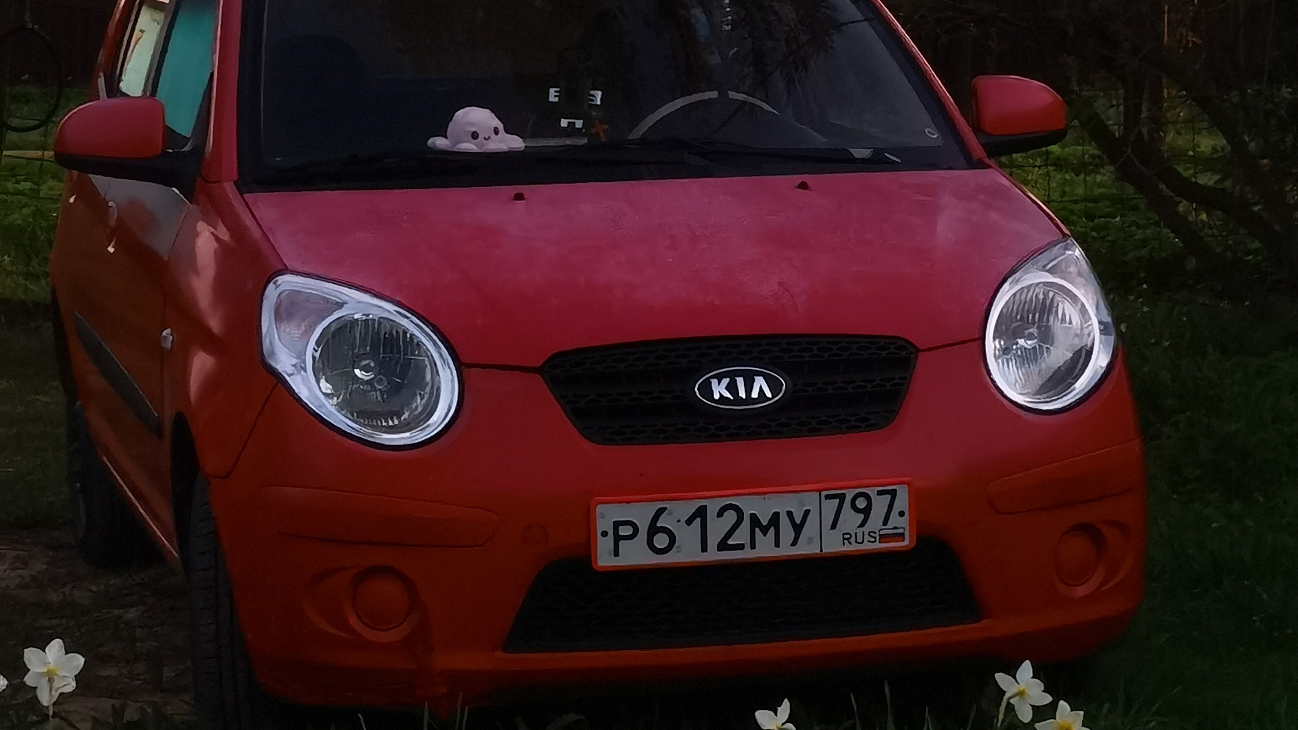 KIA Picanto (1G) 1.2 бензиновый 2010 | на DRIVE2