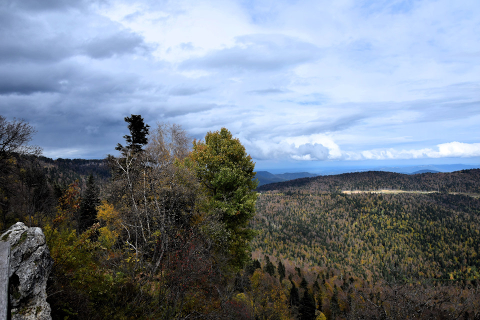 Фото в бортжурнале Renault Duster (1G)