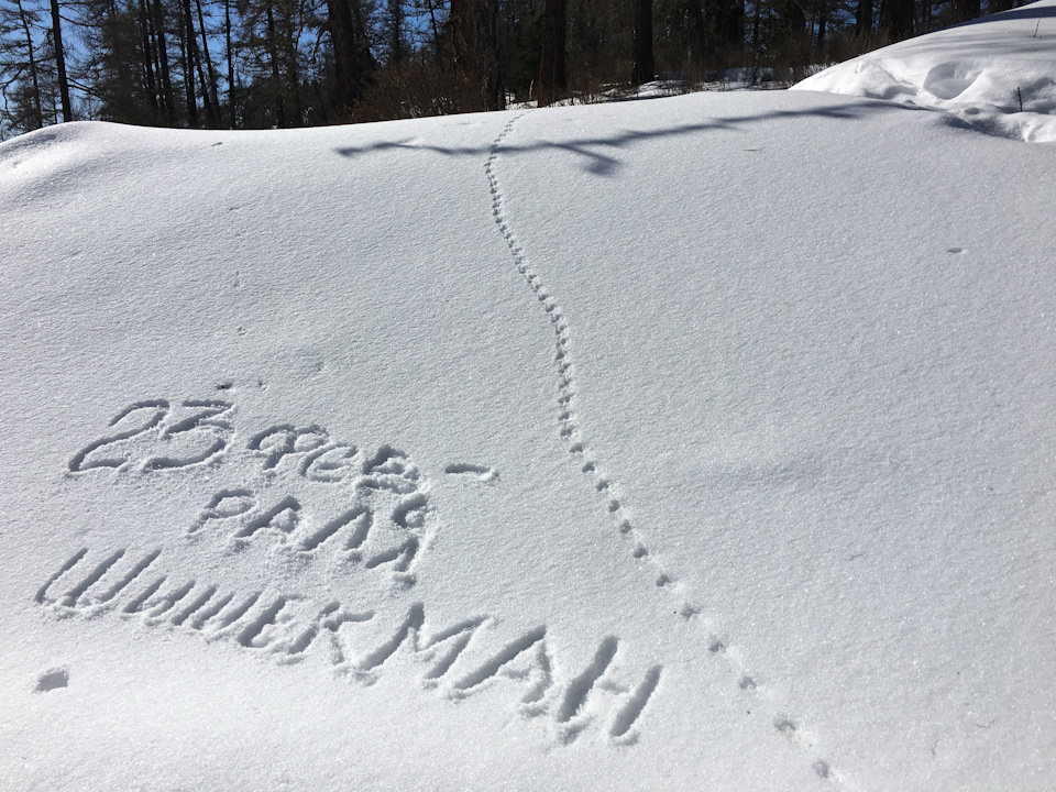 читать следует Шашикман — УАЗ Patriot