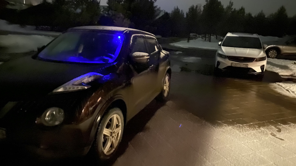 Жучок у ехал радовать новых хозяев (()) — Nissan Juke (1G), 1,6 л, 2014 ...