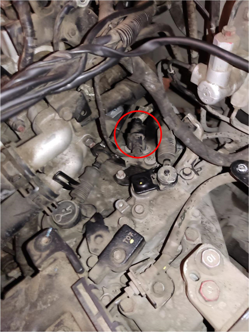 Фото в бортжурнале Hyundai Accent (3G)